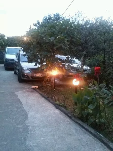 Часни сектар Бадри