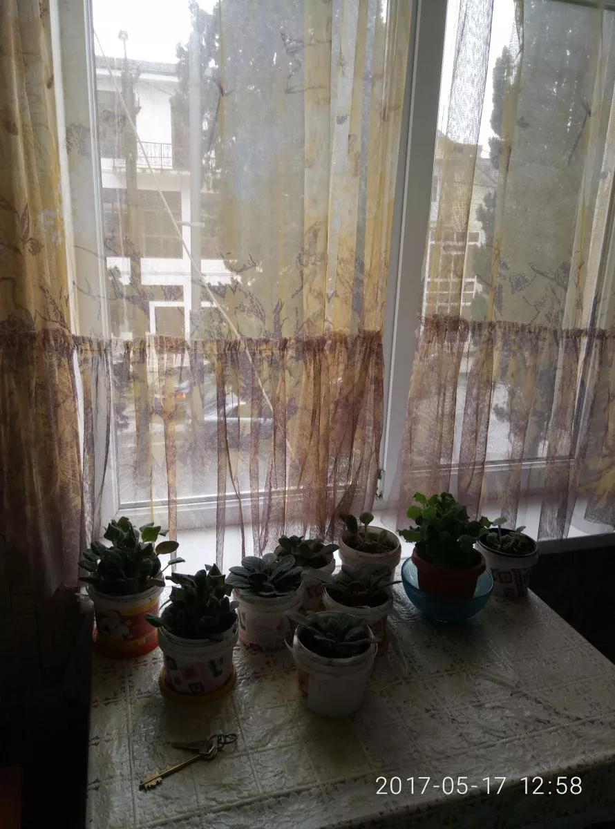 Квартира под ключ