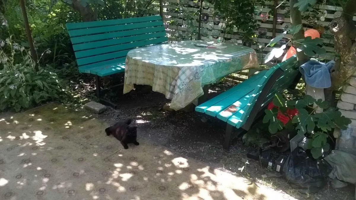 Отдых в Абхазии в частном доме у моря. Летом и зимой.