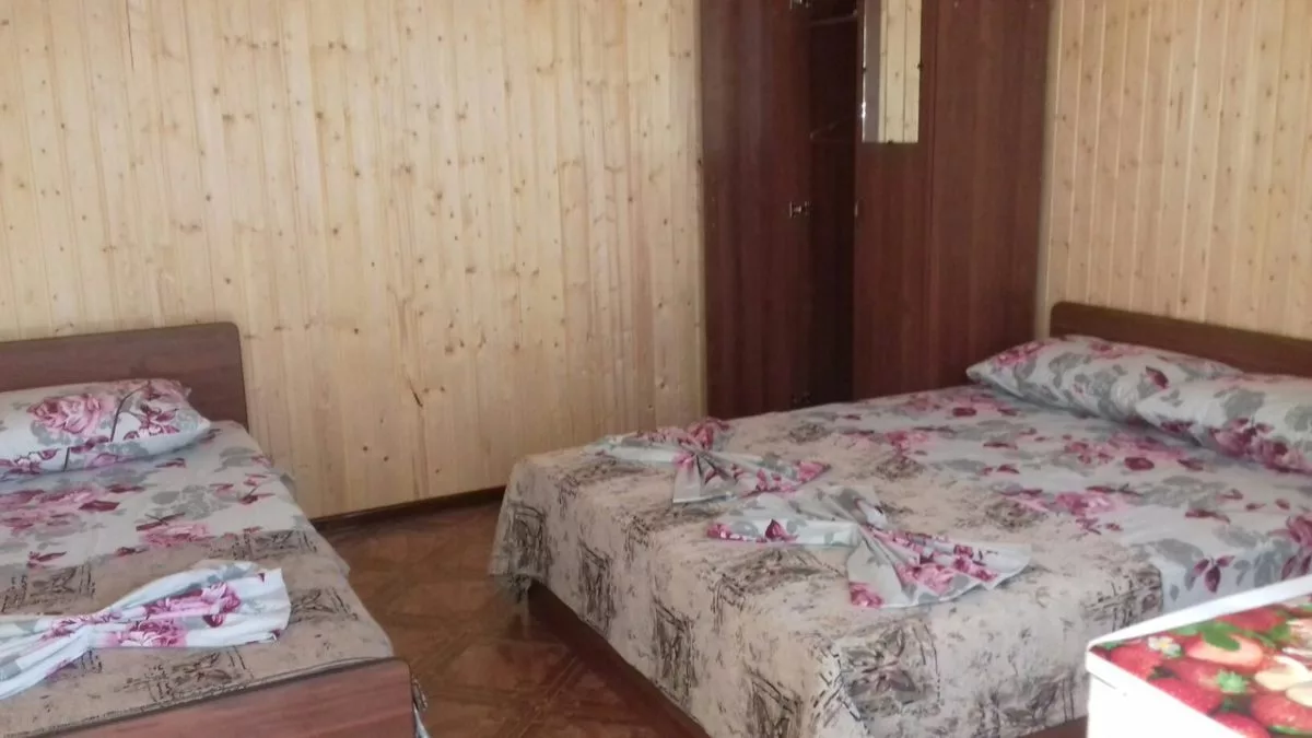 В гостях у Нелли