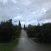 Сдаю комнаты